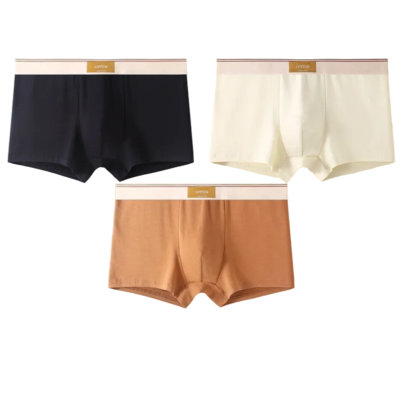 Ensemble de Boxers Ajustés pour Hommes 0