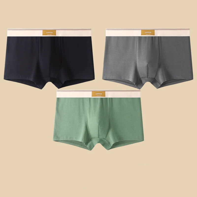 Ensemble de Boxers Ajustés pour Hommes 3