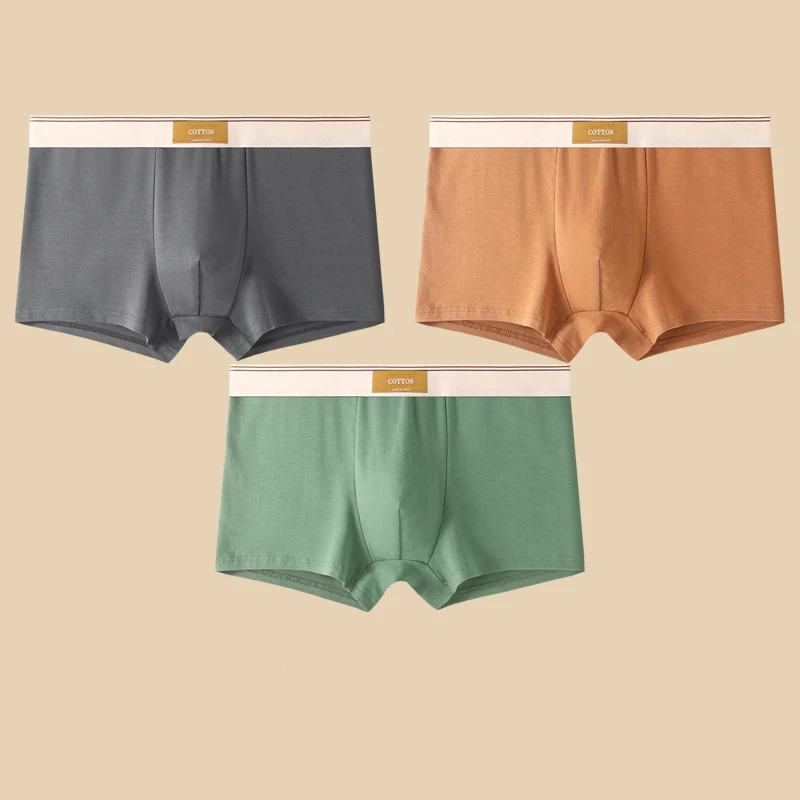Ensemble de Boxers Ajustés pour Hommes 4