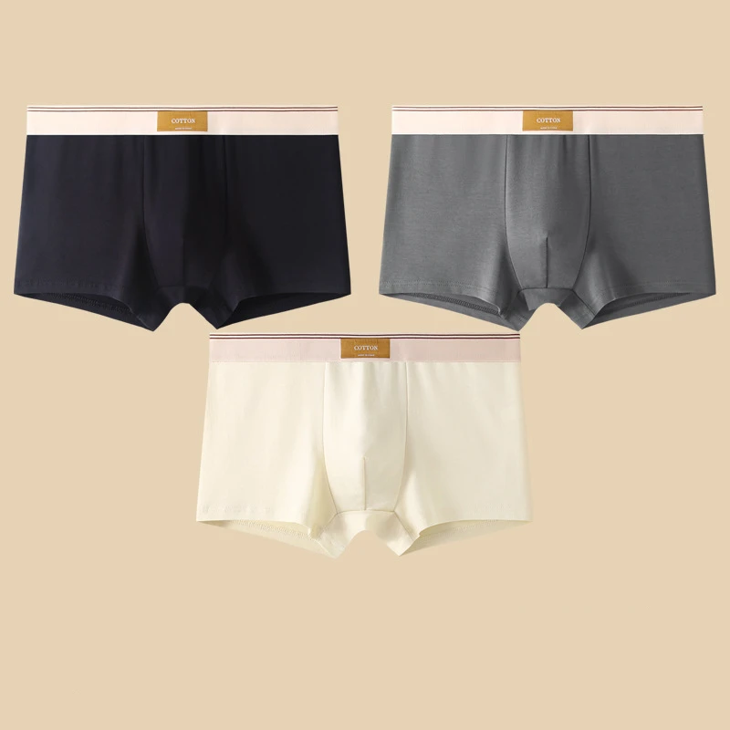 Ensemble de Boxers Ajustés pour Hommes 5