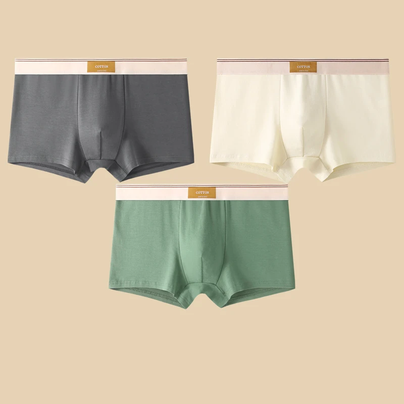 Ensemble de Boxers Ajustés pour Hommes 7