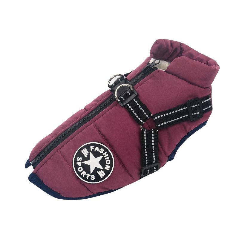 Veste d'hiver pour chiens avec harnais réfléchissant 9