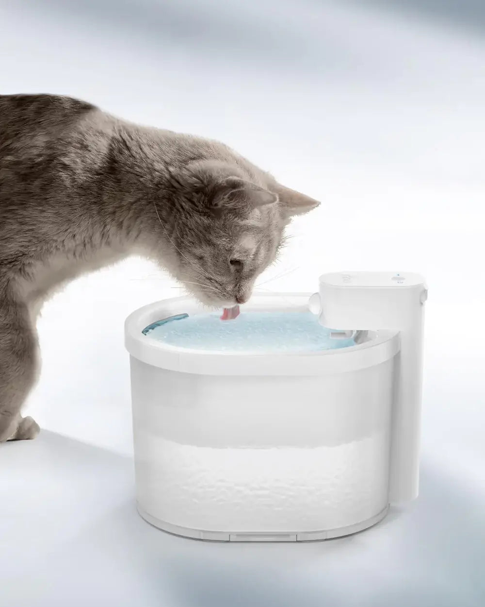 Fontaine à eau pour chat avec capteur intelligent