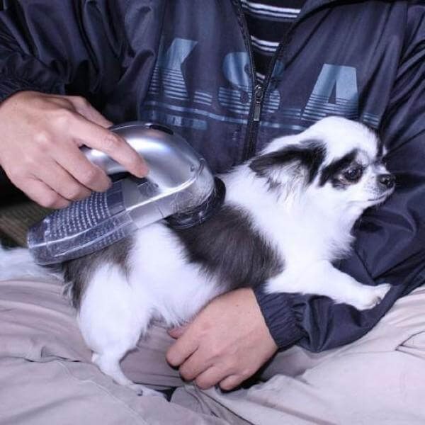 Aspirateur à poils d'animaux