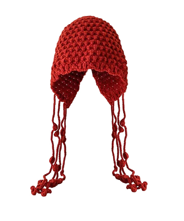 Bonnet Femme Style Chic avec Pompons et Cache-Oreilles 4