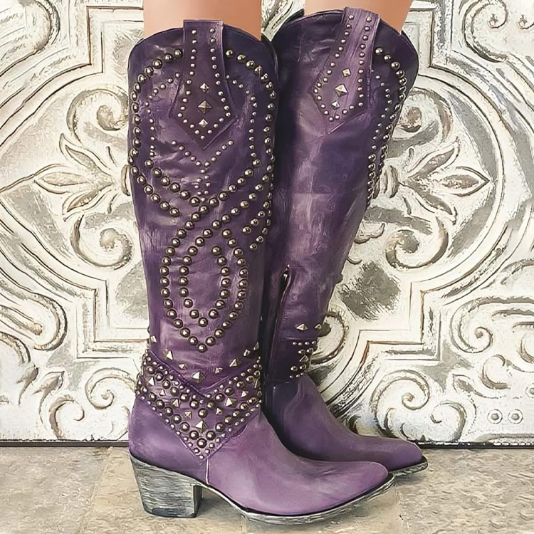 Bottes pour Femmes à Talon Bloc et Bout Pointu 0