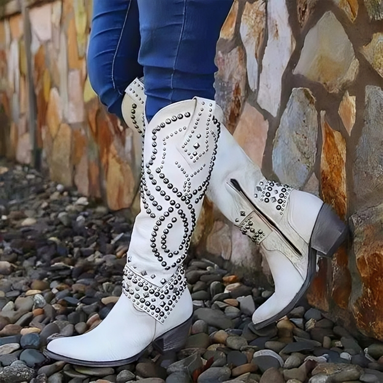 Bottes pour Femmes à Talon Bloc et Bout Pointu 4