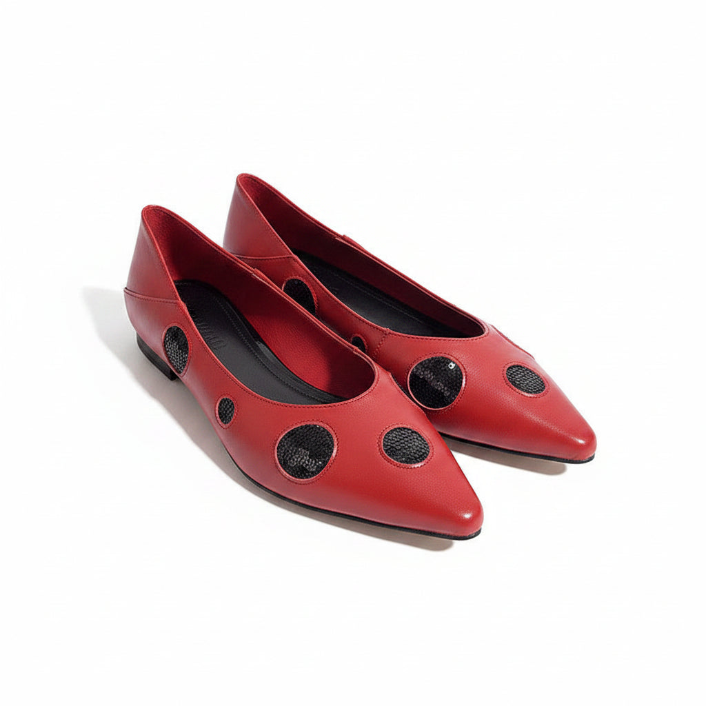 Chaussures Plates Femme à Bout Pointu 0