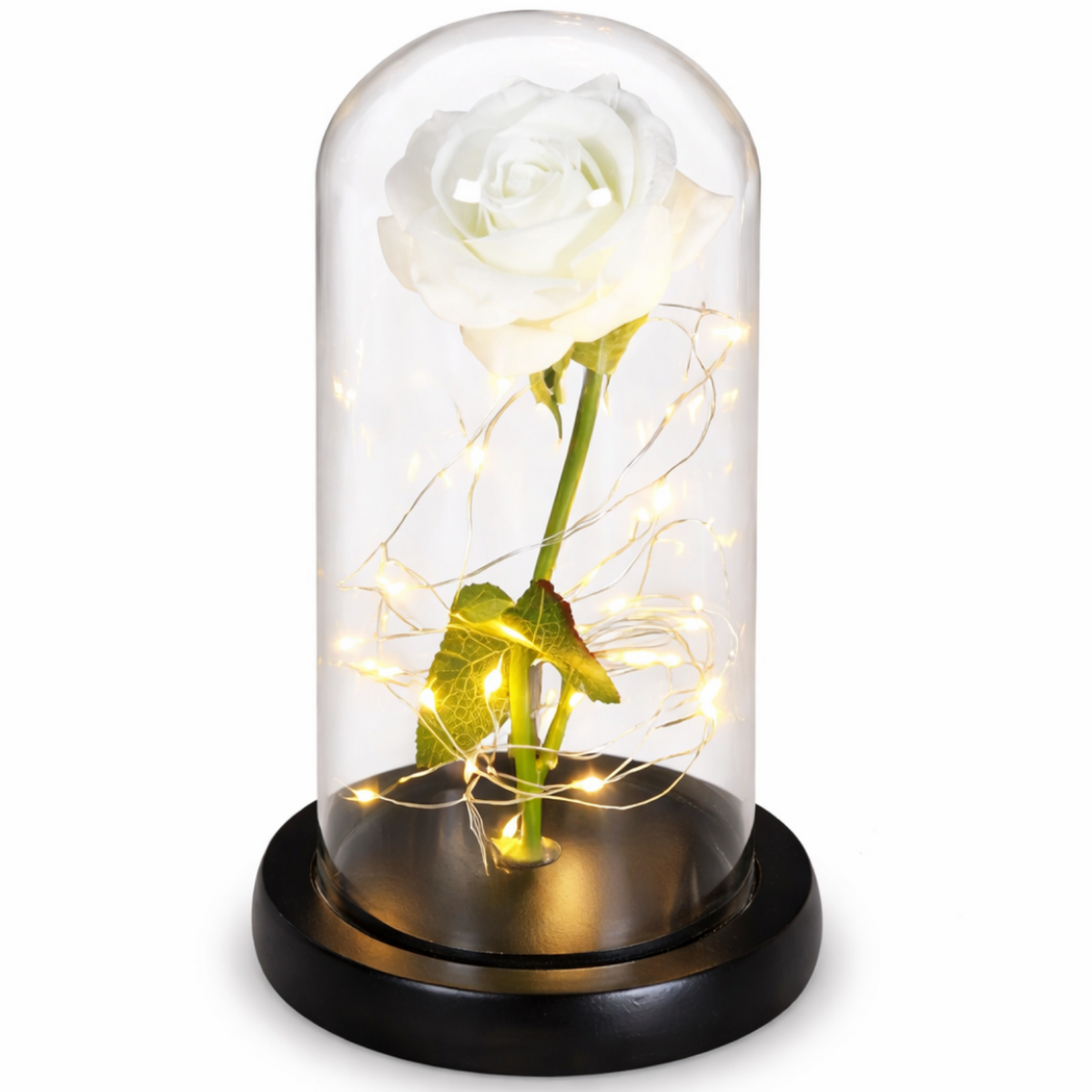 Rose perpétuelle LED 1