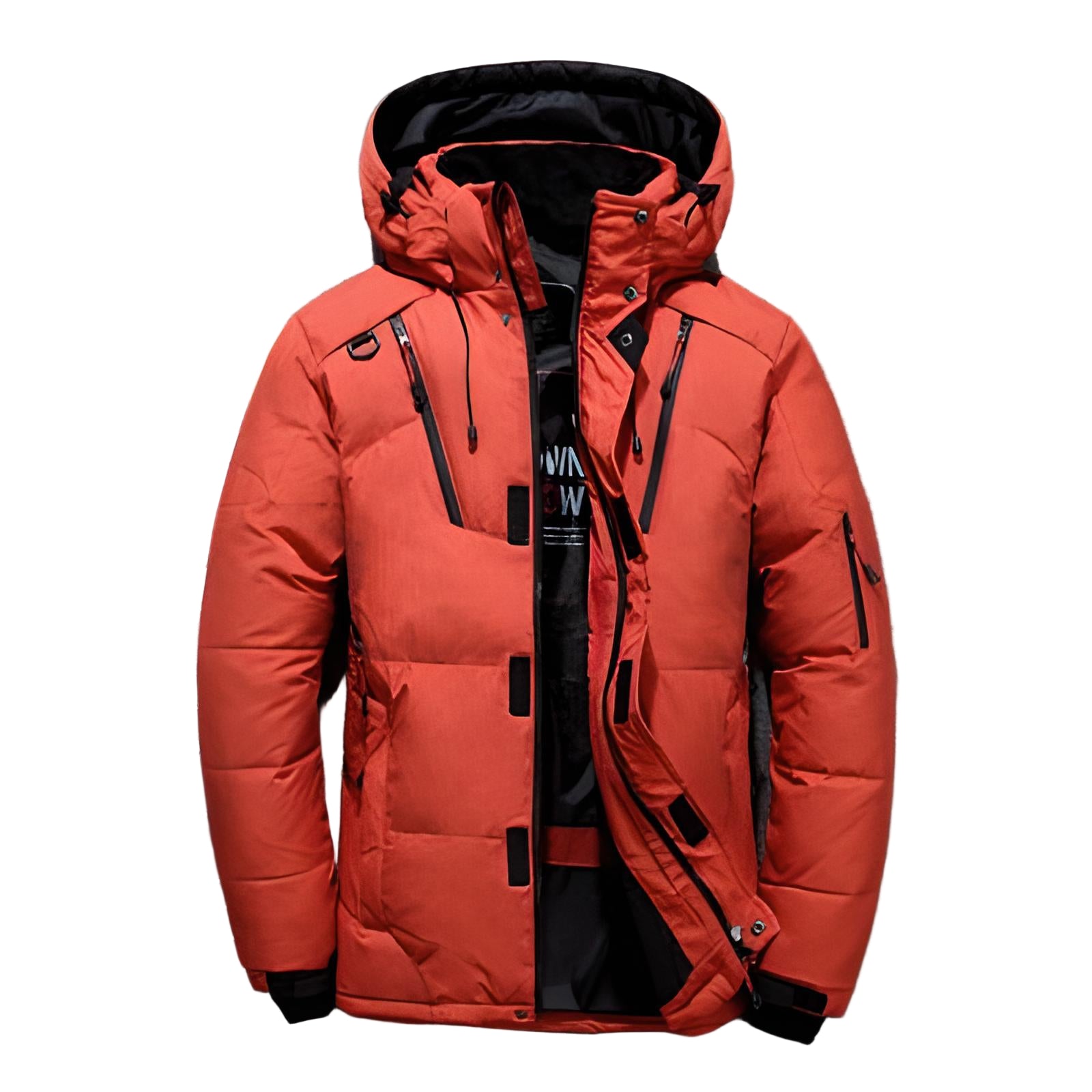 Veste Hiver Femme Moderne Avec Capuche Silhouette Ajustée 0