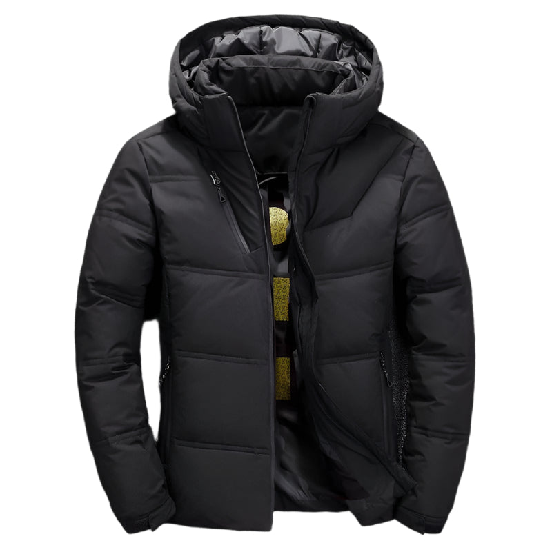 Veste d'hiver pour hommes en duvet moderne 0