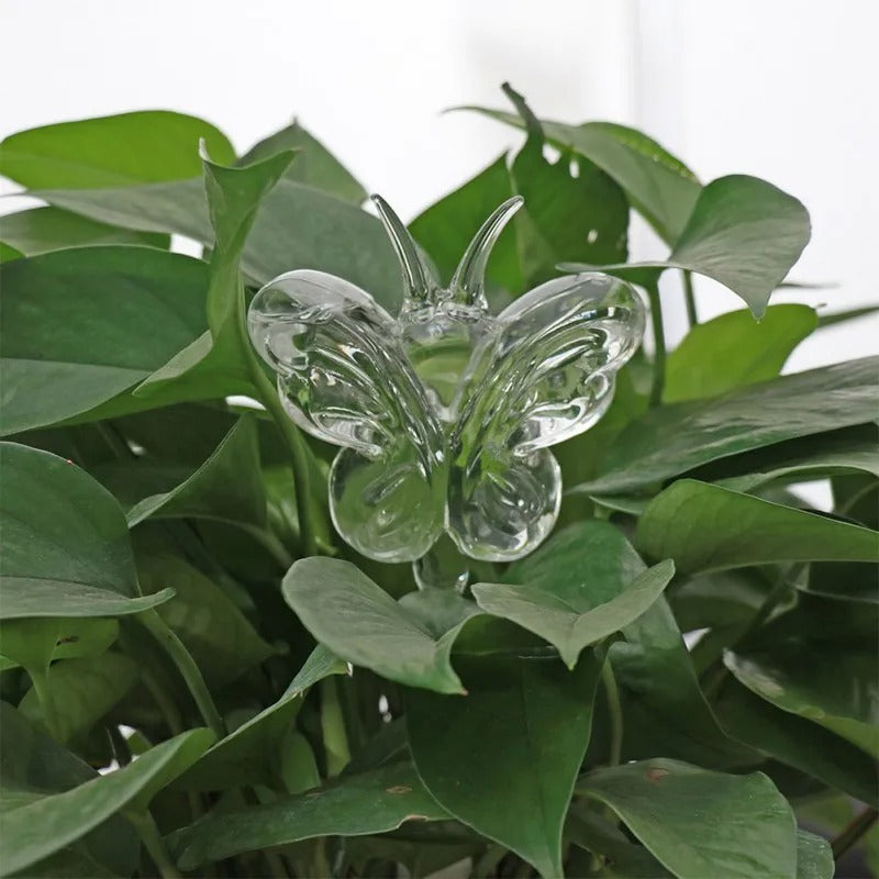 Plante d'intérieur auto-arrosage en verre