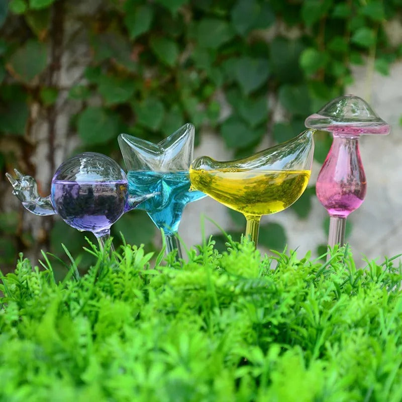 Plante d'intérieur auto-arrosage en verre