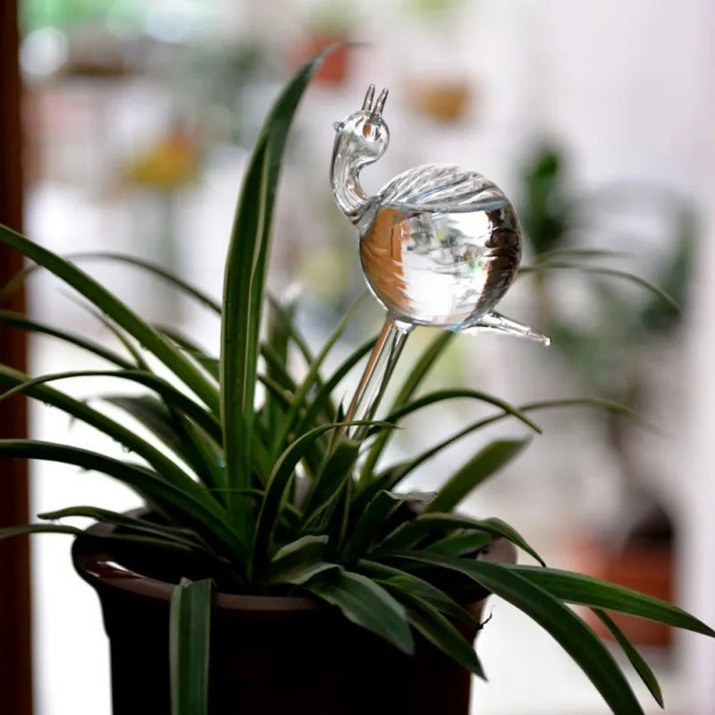 Plante d'intérieur auto-arrosage en verre